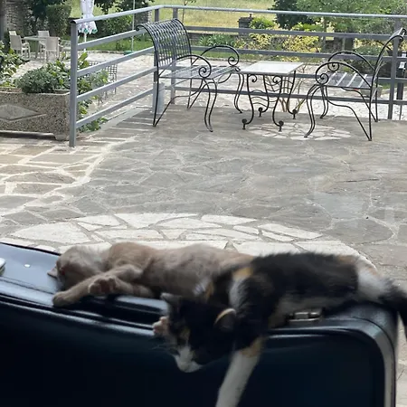 Kutal Park Hotell Përmet